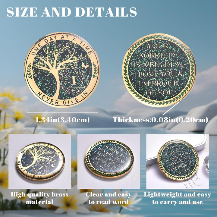 24 Hours, 1/2 Yearsobriety Chip, Tree of Life Recovery Coin, AA Recovery Medallion, Anniversary Token Sobriety Gifts, Alcoholics Anonymous Medallion (1 Year)