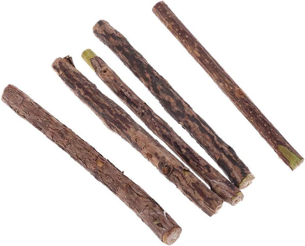 5 Pcs L Polygonum Stick for Cleaning Teeth Molar Ks Silvervine Chew Dental Care Polygonum Multiflorum