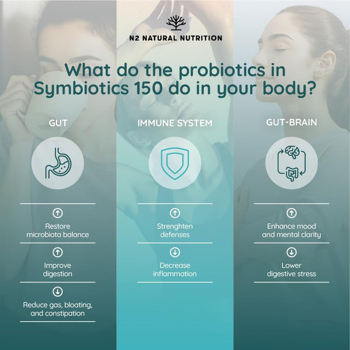 Probiotics 150 Billion CFU – 20 Multi Strains with Prebiotic, Inulin & Zinc – High Strength Vegan Supplement – Gastro Resistant Capsules – 76 Day Supply –