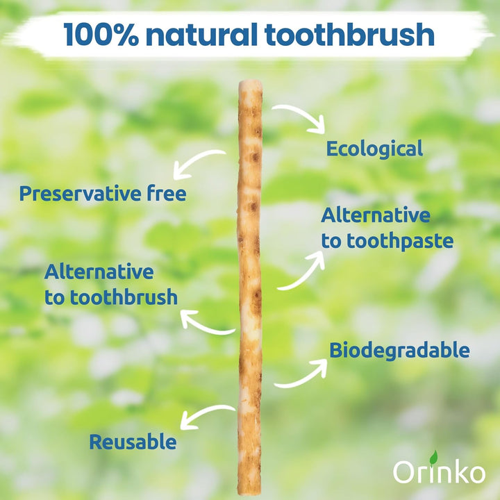 Premium Natural Miswak Sticks for Oral Hygiene - Organic Chewable Siwak Toothbrush - Fresh Breath - Eco-Friendly Wooden Dental Stick - Pack of 2 -