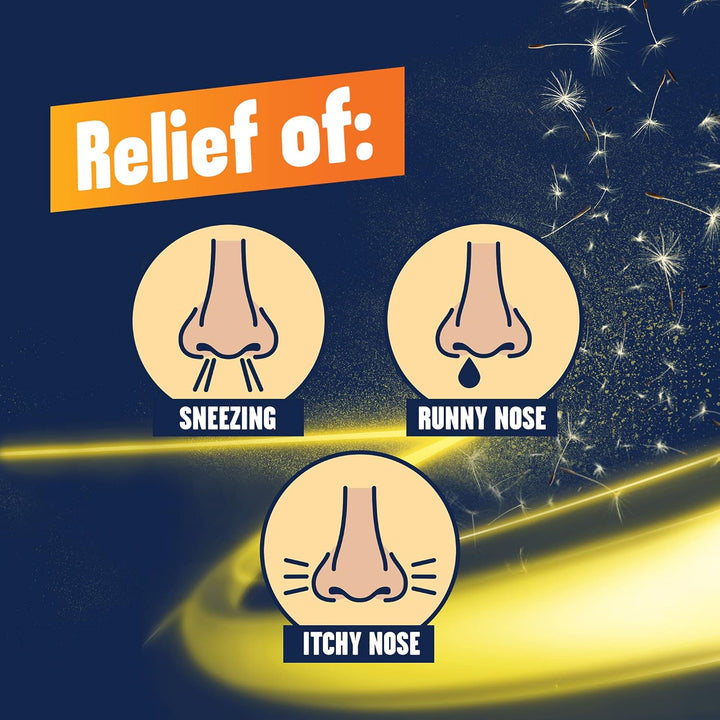 Allergy One a Day 10 Mg Tablets - Effective and Long-Lasting Relief from Hay Fever, Pet, Skin and Dust Allergies - 30 Count