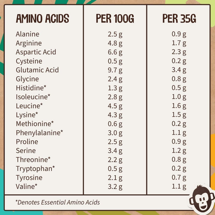 Vegan Protein Powder (1Kg) - 28 Servings -  by  - Plant Based Chocolate Protein Powder Shake, Dairy Free, Gluten Free, Lactose Free Protien Shake (Choc)