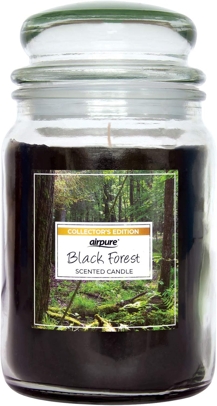 - Large Candle Scented, Gingerbread Fragrance - 120 Hour