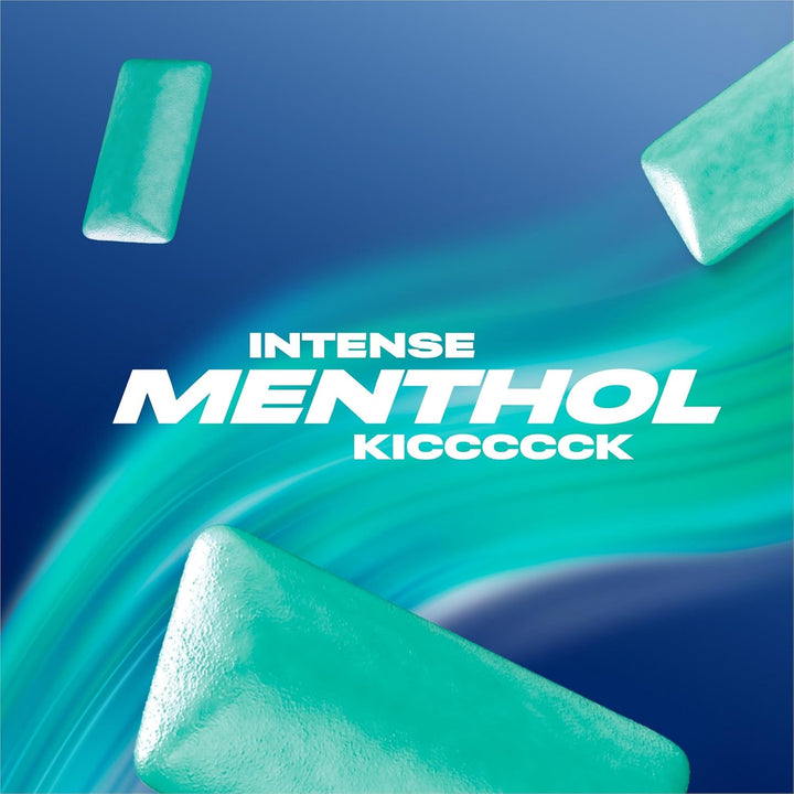 Chewing Gum Menthol & Eucalyptus, 46 Pieces, Sugar Free Chewing Gum Bottle with Menthol Freshness