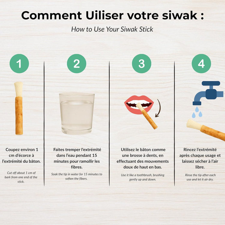 Set of 3 Natural Siwaks + 1 Case - Eco Friendly Toothbrush - Salvadora Persica Wood - Pakistan Origin - Zero Waste