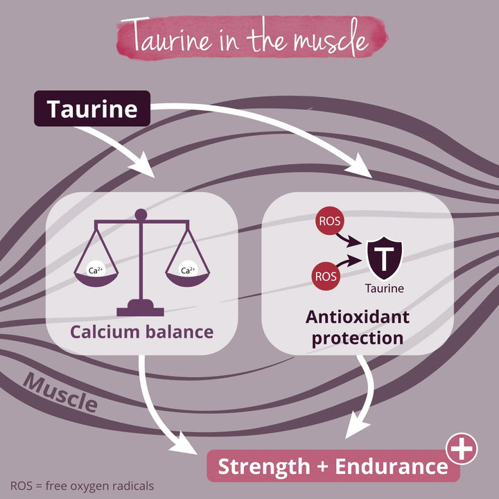 L Taurine Powder 1Kg | 3000 Mg Daily Dose | 1 Year Supply | 100% Pure Taurine | NO Additives | Lab-Tested | Vegan