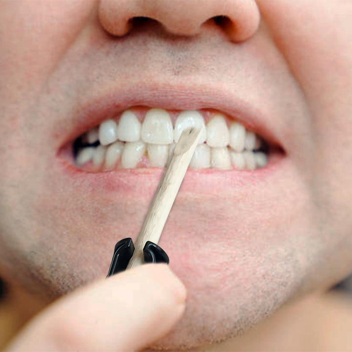 ETHENICINDIAN 10 Chewing Sticks of NEEM DATUN ORAL HERBAL TEETH & TONGUE CLEANER Traditional Teeth Cleaning Twig Prevent Tooth Decay and Gum Toothbrush Chew Sticks Natural Wild Organic Traditional