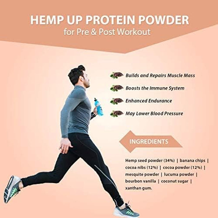Canah Hemp up Organic Protein Shake Powder – Muscle Gain & Boost up Immune System, Gluten Free, Energy Booster, Healthy Hemp Powder (Cacao)