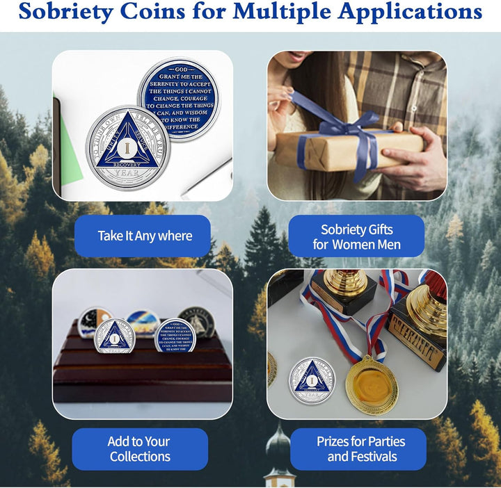 1 Year Sobriety Chips AA Coin Alcoholics Anonymous Medallion Sobriety Gifts for Men Women Recovery Chip Anniversary Token