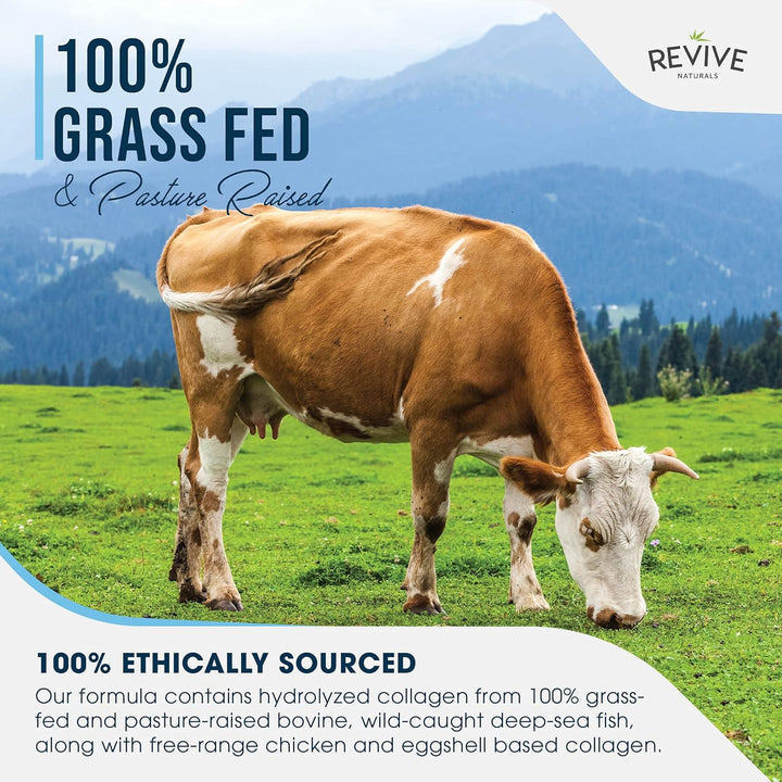 Multi Collagen Protein Powder 400G - Types I, II, III, V & X - Hydrolyzed Grass Fed Bovine, Wild Caught Fish, & Free-Range Chicken & Eggshell Collagen (1 Month Supply) by