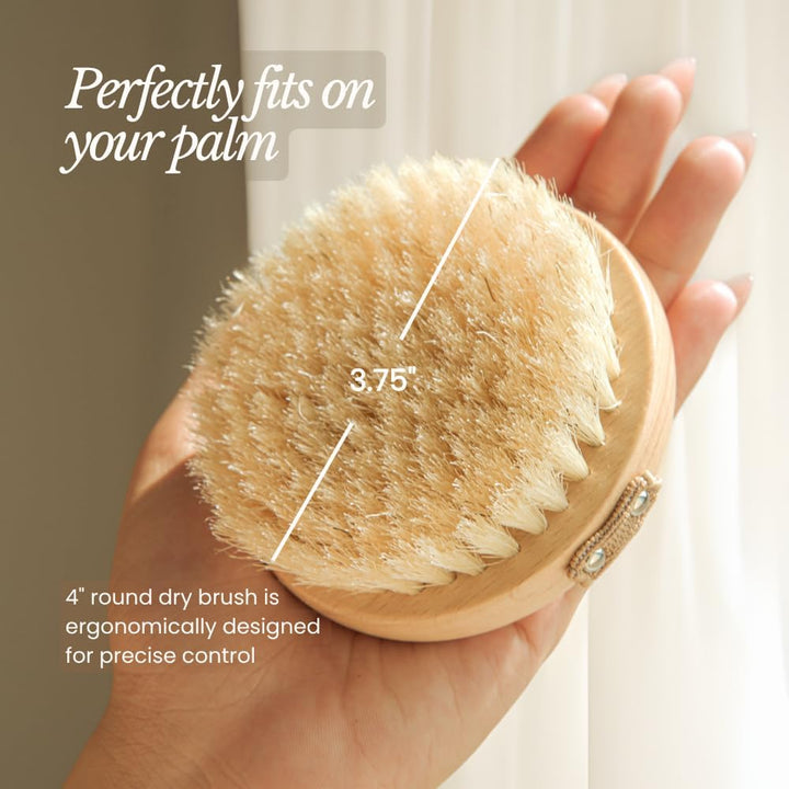 Dry Body Brush for Lymphatic Drainage - Improve Circulation W/Gentle Exfoliation for Soft Skin - Ergonomically Designed W/Elastic Strap - Soft but Firm Natural Boar Bristles