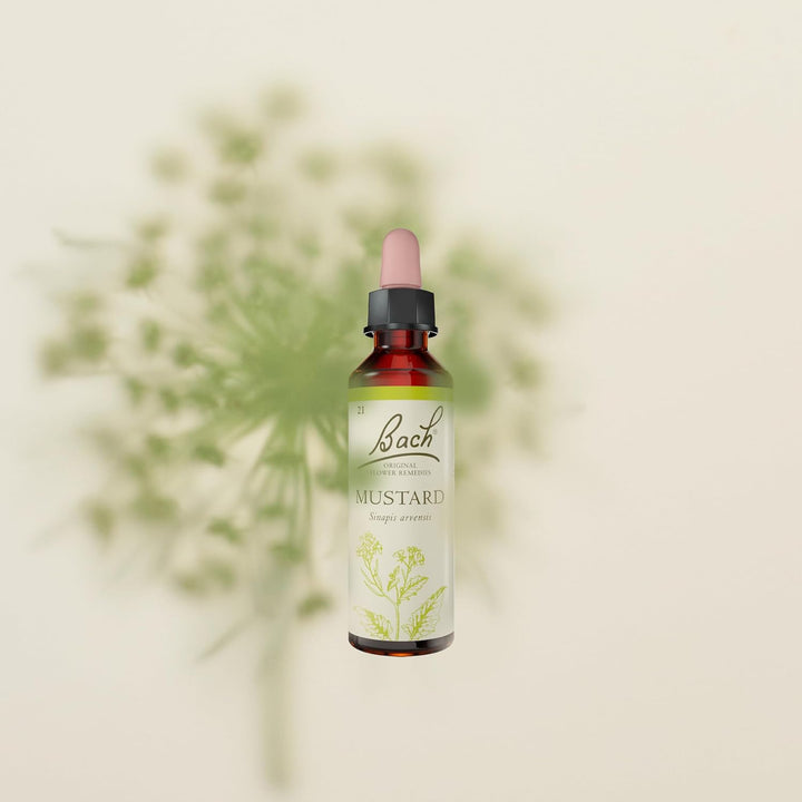 Bach Original Flower Remedies (Mustard) Live the Day, Stay Joyful, Emotional Wellness, Natural Flower Essence, 20Ml