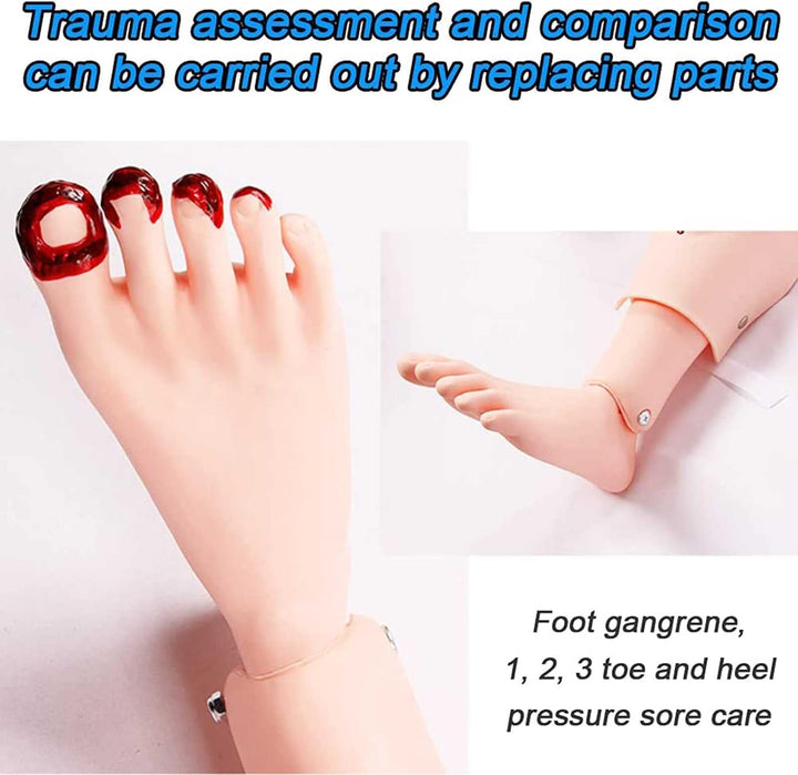 170Cm Life Size Patient Care Manikin Training Cpr Simulator Basic Geri Nursing Skills Geriatric Human Model Mannequin Full Body for Students Education Teaching Medical Training Skills
