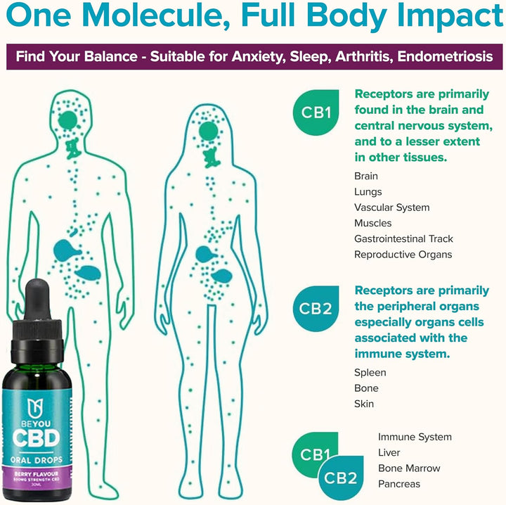 CBD Oil - 4800Mg CBD Drops & Spray - High Strength CBD with MCT Oil - Lab Tested, No THC - Berry Flavour - 30Ml - Soothes Stress, Anxiety, Sleep, Aches & Pains