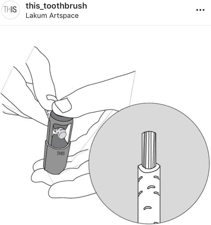 Vegan Friendly Natural Teeth Whitening with Miswak Organic Toothbrush Kit - Includes Miswak Cutter Case with Cutter Cap & Storage Tube, 2 Chewing Sticks for Fresh Oral Care & a User Manual (Blue)