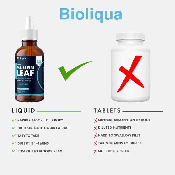 Mullein Leaf Liquid Drops - 60Ml - 2 Month Supply - High Strength - Vegan - 60 Servings - Premium Mullein Leaf Extract - 6,000Mg per Bottle - Fast Absorption - UK Made by Balance (1X Pack)