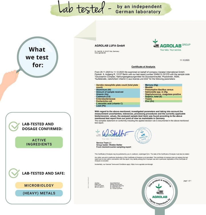 Vegan Glucosamine Complex | with Chondroitin, MSM, Devil'S Claw and VIT C | NO Additives, Lab-Tested | Joint Pain Relief | 180 Capsules