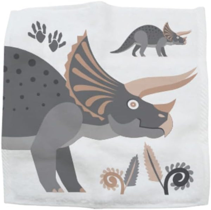 Wash Cloth - Dinosaur Magic Flannel, Face Cloths Flannels Cotton - Fun Designs for Children, Baby, Kids - 6 Unique Designs (1 Supplied at Random)