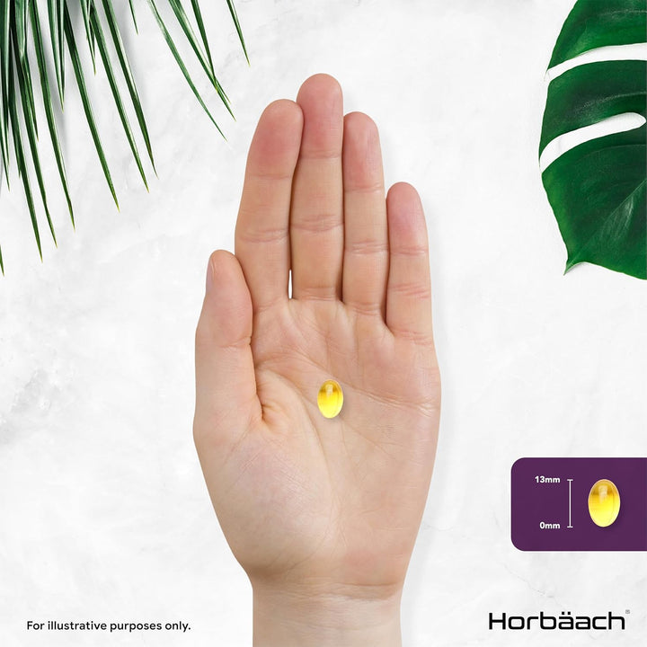 Blackcurrant Seed Oil 1000Mg | 90 Softgel Capsules | Natural Source of GLA | High Strength Blackcurrant Supplement |