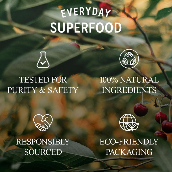 Organic Hemp Protein Powder 200G, 50% Protein Content, Raw, Cold Pressed Hemp Seeds, Vegan Protein Powders