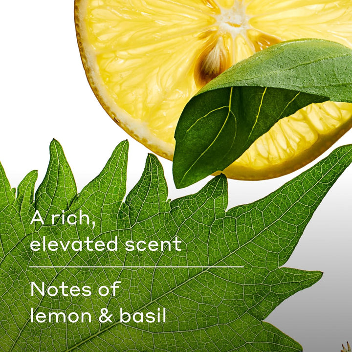 Men'S Body Wash, Shiso/Spring, 532Ml, Pack of 3 - Shower Gel for Men