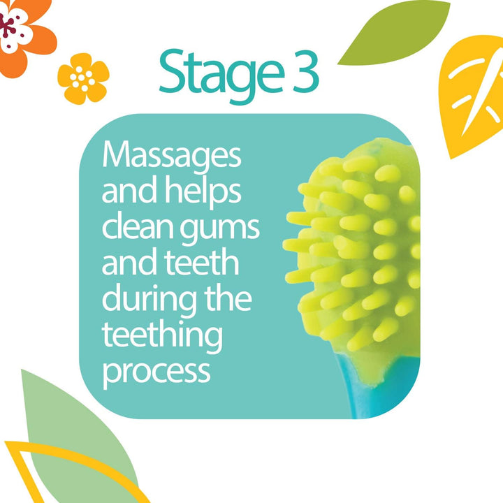 Oral Care Set with Stand; 4-Stage System with 1 Silicone Finger Massager, 2 Massaging Brushes, 1 Soft Nylon Bristle Toddler Toothbrush; 0+ Months, Blue & Aqua