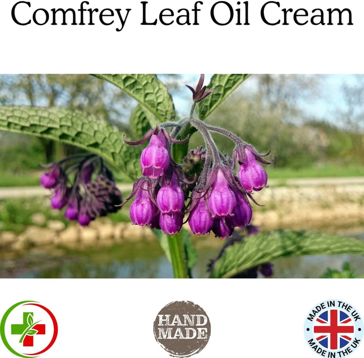 Handmade Comfrey Leaf Salve – Made in North Yorkshire – All-Natural Ingredients: Comfrey Oil, Sunflower Oil, Beeswax, Vitamin E (60Ml)