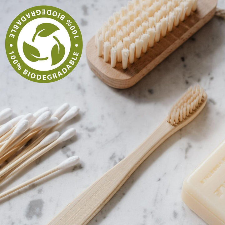 Quest 200 Cotton Buds (Bamboo Stem)