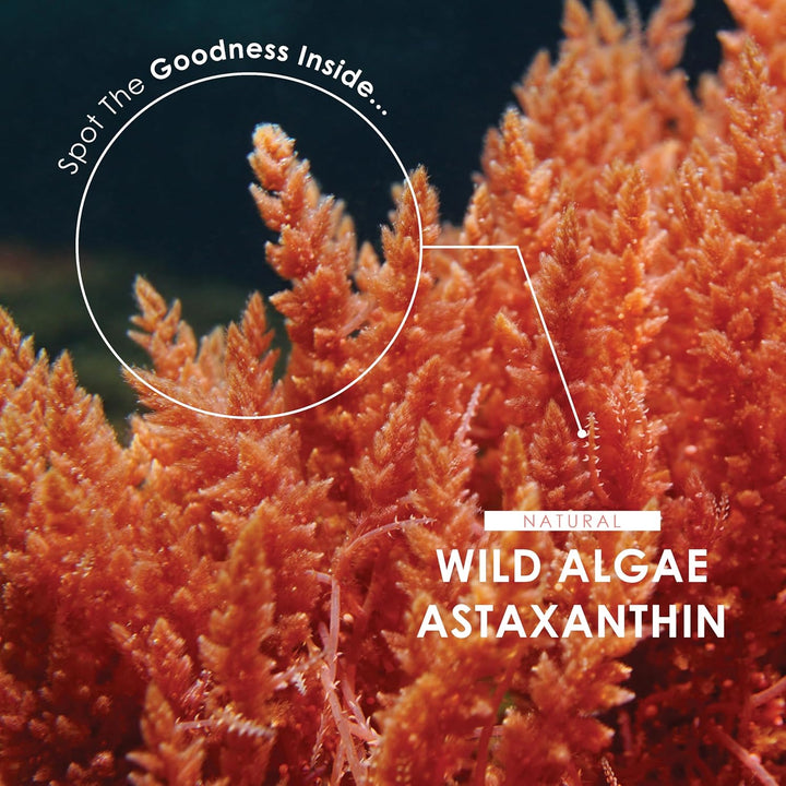 Wild-Algae Astaxanthin 160Mg - High Strength Providing 8Mg Astaxanthin Antioxidant - 180 Softgels - Resealable and Recyclable Pouch by