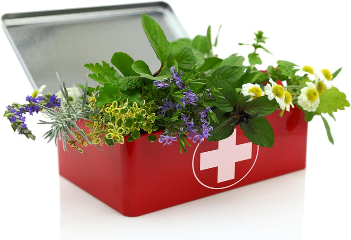 Handmade Comfrey Leaf Salve 120Ml – Made in North Yorkshire – All-Natural Ingredients: Comfrey Oil, Sunflower Oil, Beeswax, Vitamin E (120Ml)