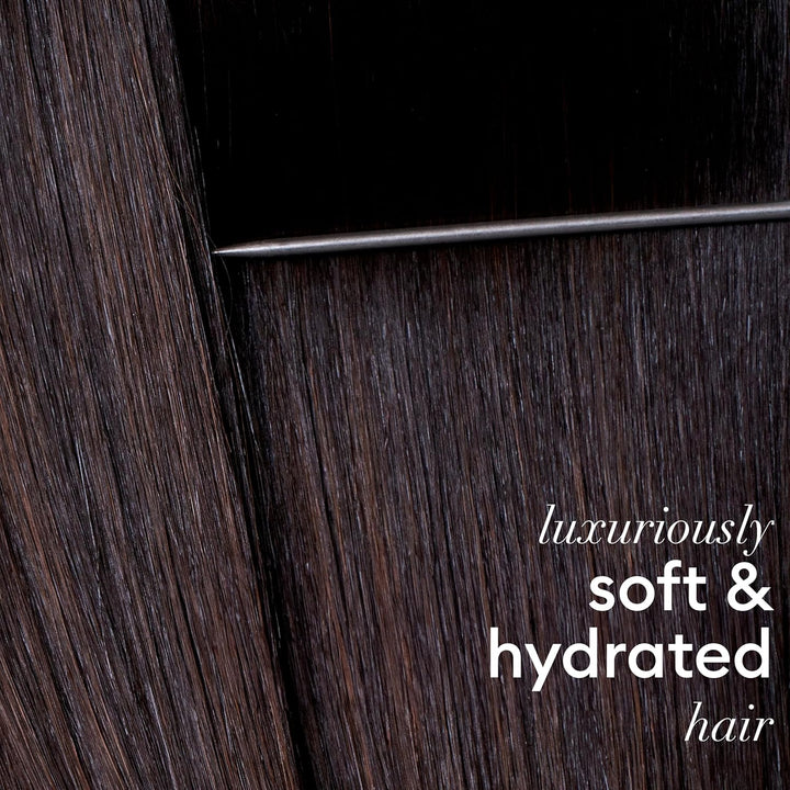 Rich Moisture Shampoo - with Vitamin E, Amino Acids & Ceramide for Deep Hydration, Softness, Damage Repair & All-Day Moisture – Ideal for Dry, Damaged Hair 900Ml