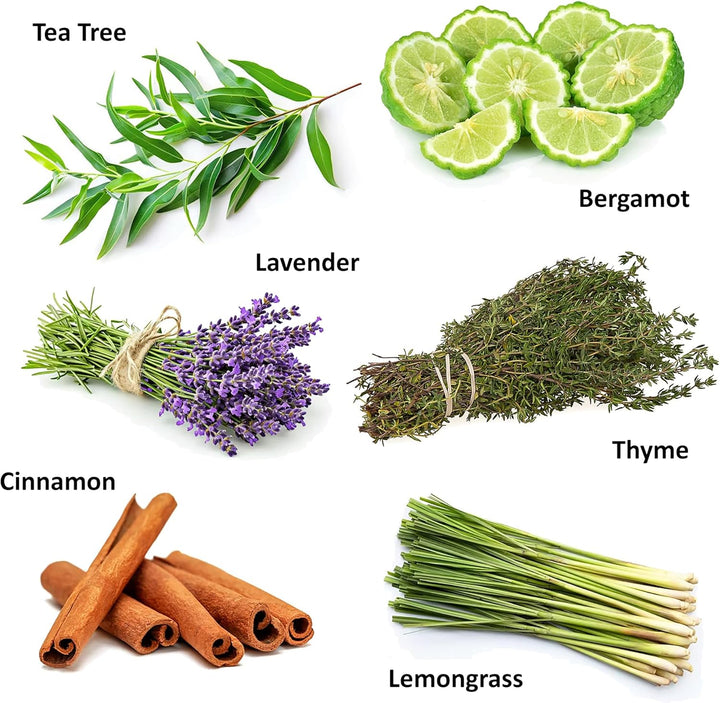 Antiviral Lungs & Airways Remedy. the 6 Most Powerful Natural Virus Killing Essential Oils Blended to Combat Viruses, Bacteria, Bugs & Germs. Antibacterial. Steam, Spray, Inhale, Diffuser & Bath.