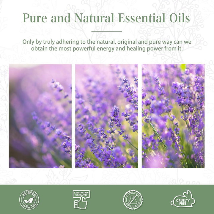 Lavender Essential Oil 100Ml, 100% Natural & Pure Premium Graded Lavender Essential Oils for Diffusers, Humidifiers, Aromatherapy, Skin Hair Care and Candle Soap Making