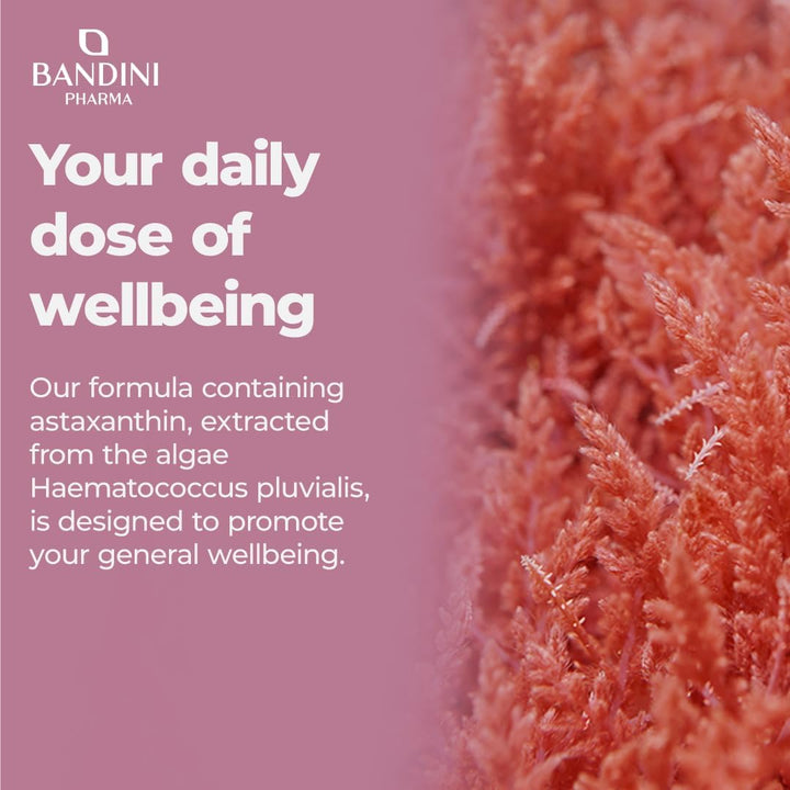 ® Pure Astaxanthin 18 Mg | 270 High Strength Capsules | 9 Months Supply | Powerful Antioxidant from Haematococcus Pluvialis Algae | Astaxantine Supplement, Magnesium Stearate & Gmo-Free | Vegan