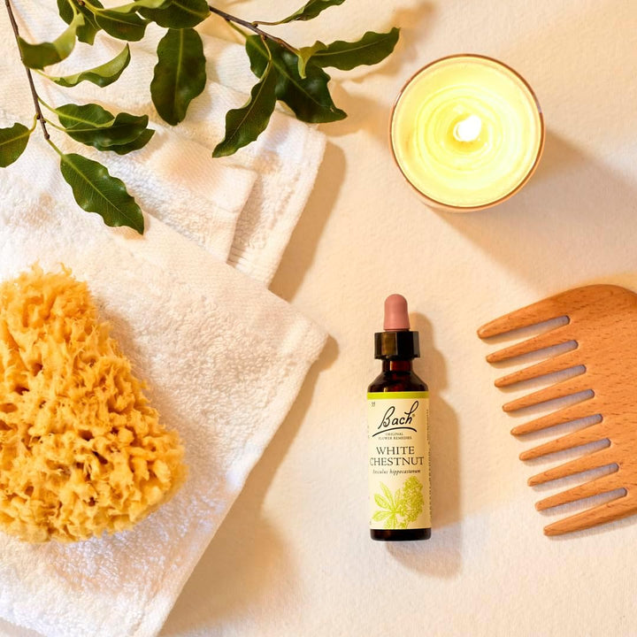 Bach Original Flower Remedies (White Chestnut) Live the Day, Stay Tranquil, Emotional Wellness, Natural Flower Essence, 20Ml