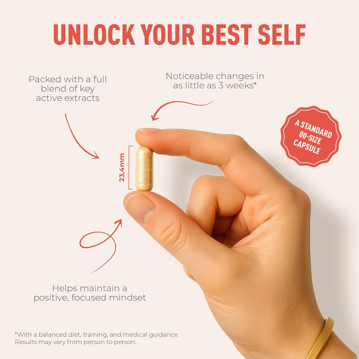 Fit Lab - Best Version of You, Food Supplement - Gym Essentials -120 Capsules - Vegan, Halal and Vegetarian Supplements for Women and Men - 60 Days Supply