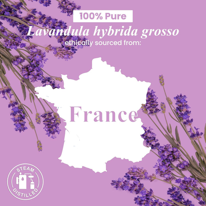 Lavender Essential Oil - Huge 118 Ml - 100% Pure and Natural - Premium Grade with Glass Dropper