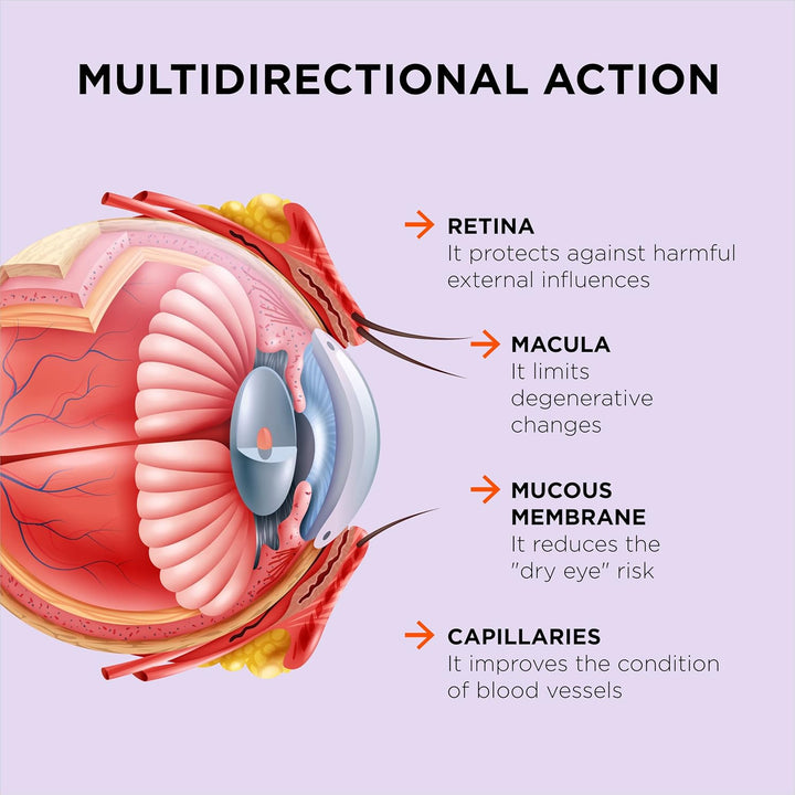 Excellent Vision with 1 Capsule/Day. Concentrated Composition. Multidirectional Action. Liquid Formula for Complete Absorption and Faster Effect. Laboratory Tested. (30 Servings)