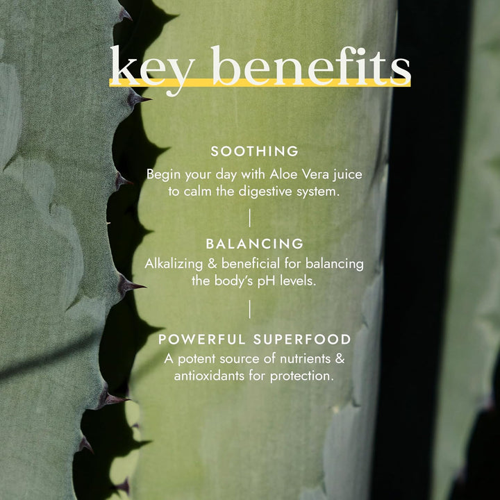 Organic Cold-Pressed Aloe Vera Juice 1000 Ml | Ethical & Vegan Society Approved | Manufactured in the UK