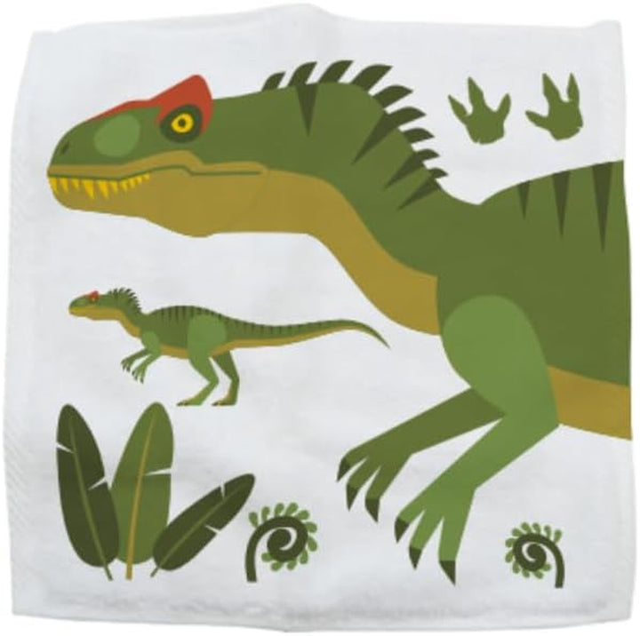 Wash Cloth - Dinosaur Magic Flannel, Face Cloths Flannels Cotton - Fun Designs for Children, Baby, Kids - 6 Unique Designs (1 Supplied at Random)