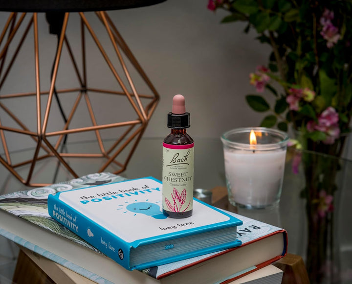 Bach Original Flower Remedies (Sweet Chestnut) Find Joy & Hope, Remain Optimistic, Emotional Wellness, Natural Flower Essence, 20Ml