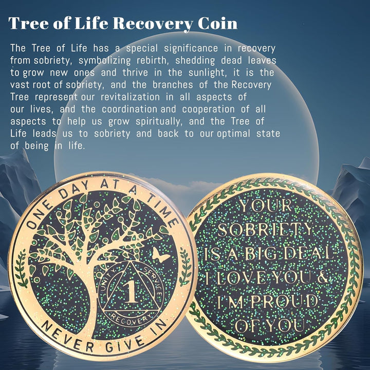 24 Hours, 1/2 Yearsobriety Chip, Tree of Life Recovery Coin, AA Recovery Medallion, Anniversary Token Sobriety Gifts, Alcoholics Anonymous Medallion (1 Year)