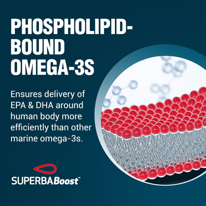 Perfect Krill EX, the Purest Ultra Strength Antarctic Krill Oil, Highest Phospholipids (>56%), with Choline & Astaxanthin, Omega 3, Heart & Joint Support, 100% Made in USA, 60 Softgel