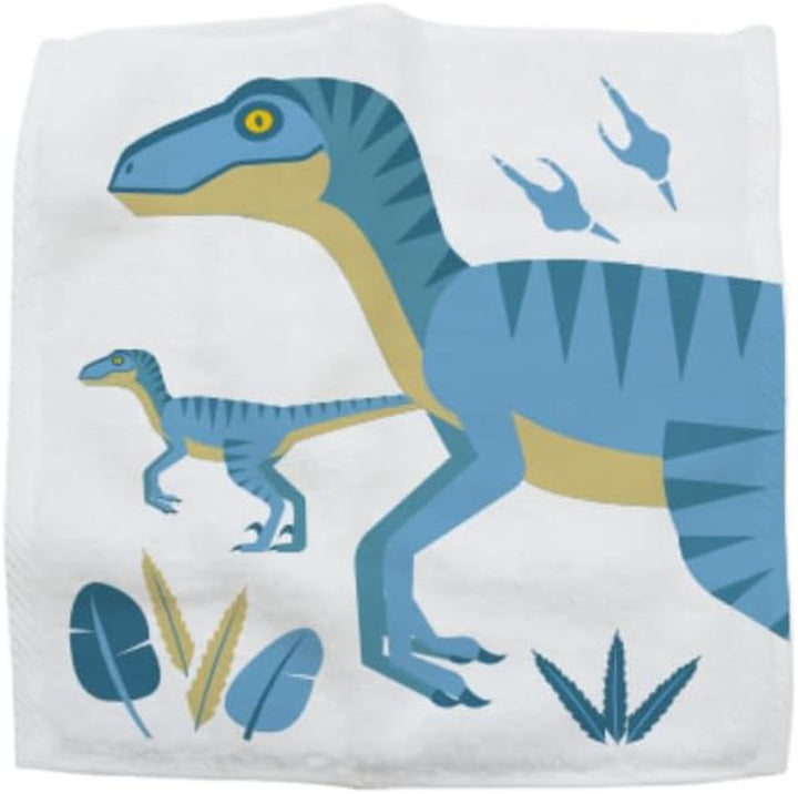 Wash Cloth - Dinosaur Magic Flannel, Face Cloths Flannels Cotton - Fun Designs for Children, Baby, Kids - 6 Unique Designs (1 Supplied at Random)