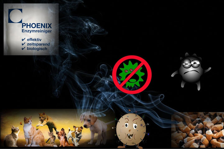 Sauna Cleaner Infrared Cabin Cleaner 1.0 - 1.5 Litres without Chemicals with Deep Effect, Germ and Bacteria Reducing