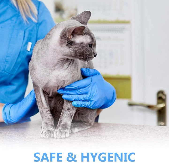 Blue Vinyl Disposable Gloves Large 100 Pack - Latex Free, Powder Free Medical Exam Gloves - Surgical, Home, Cleaning, and Food Gloves - Ambidextrous (L Pack of 100)