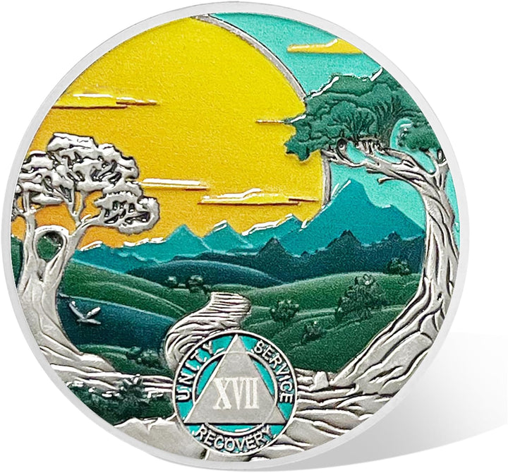 17 Years Sobriety Coin Sun Chips Alcoholics Anonymous Medallion AA Chips and Medallion Sobriety Gifts for Men Women Anniversary Token Recovery Gift Forest Tree Coin