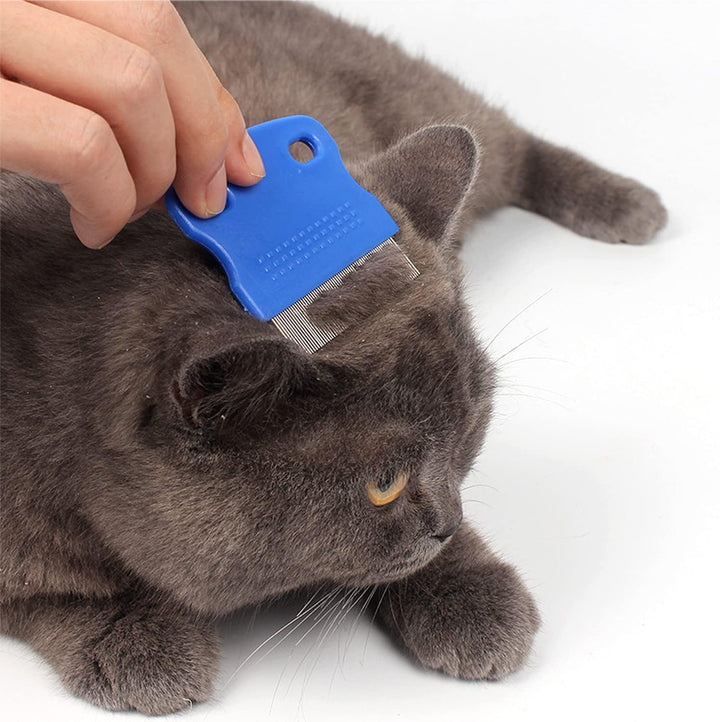 6Pcs Lice Comb,Double Sided Nit Comb for Head Lice Treatment[Including Long Thick Hair], Nit Free Comb for Kids Pets and Adults