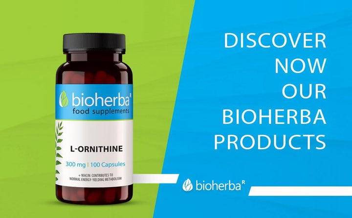 L-Ornithine 300 Mg – 300 Capsules | Pure Amino Acid Supplement for Active Nutrition by