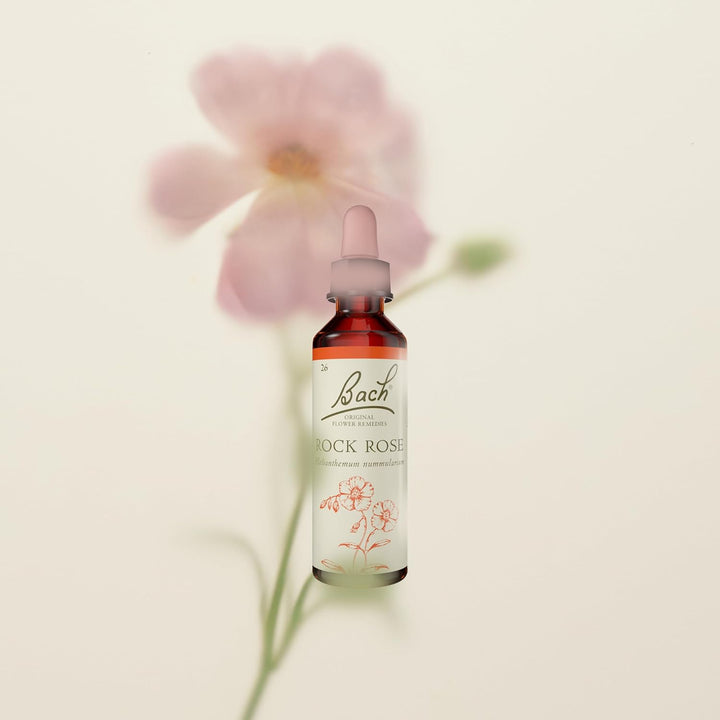 Original Flower Remedies (Rock Rose) Face Your Fears, Be Fearless, Emotional Wellness, Natural Flower Essence, 20Ml